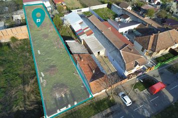 Teren intravilan zona Steaua anunturi imobiliare Timis