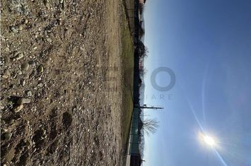 Teren Intravilan de vanzare ALESD  - Bihor anunturi imobiliare Bihor