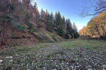 Teren de vanzare PODU DAMBOVITEI - Arges anunturi imobiliare Arges