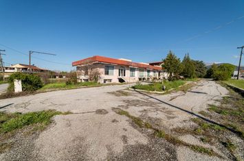 Spațiu industrial 1.242 mp la km 5 DN Drama–Kavala anunturi imobiliare Grecia