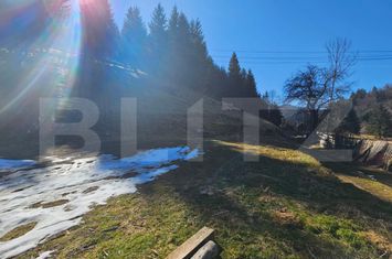 Teren de vanzare SCARISOARA - Alba anunturi imobiliare Alba