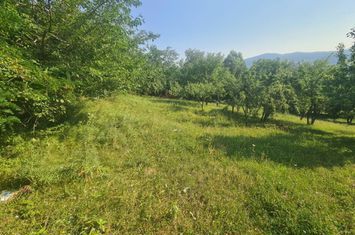 Teren intravilan de vânzare în Breaza - Zona Capul Câmpului anunturi imobiliare Prahova