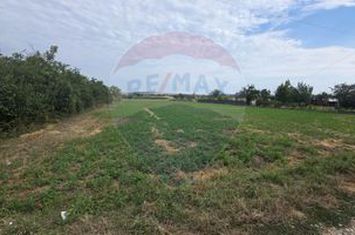 Teren 6,672mp Todiresti / Intrarea HUC anunturi imobiliare Vaslui