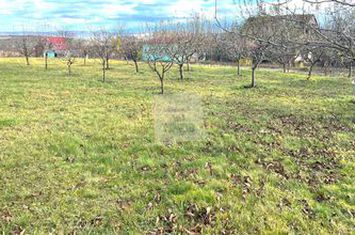 Teren Intravilan de vanzare DAIA - Sibiu anunturi imobiliare Sibiu