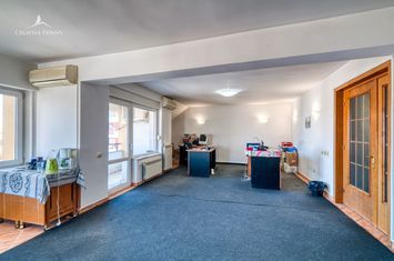 Domenii / Spatiu de birouri / 3 camere / 100 mp anunturi imobiliare Bucuresti