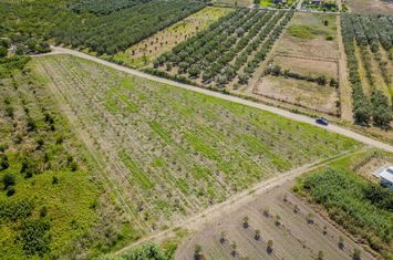 Teren construibil 4.197 mp, Paralia Orfaniou anunturi imobiliare Grecia