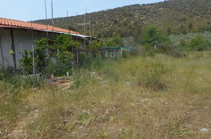 Teren 635 mp în Skala Maries, zona Kamini anunturi imobiliare Grecia