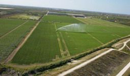 Nici terenurile agricole nu scapa de criza: achizitiile realizate de straini sunt la un sfert fata de anul trecut