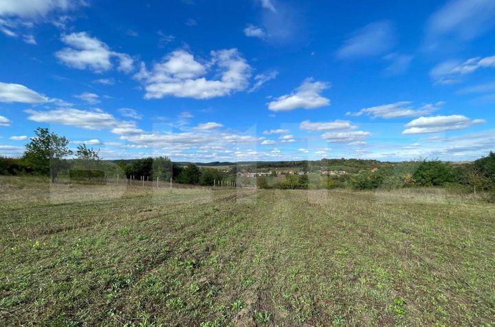 Teren de vanzare SANMARTIN - Bihor anunturi imobiliare Bihor