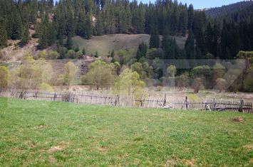 Teren de vanzare SUCEAVA - Suceava anunturi imobiliare Suceava