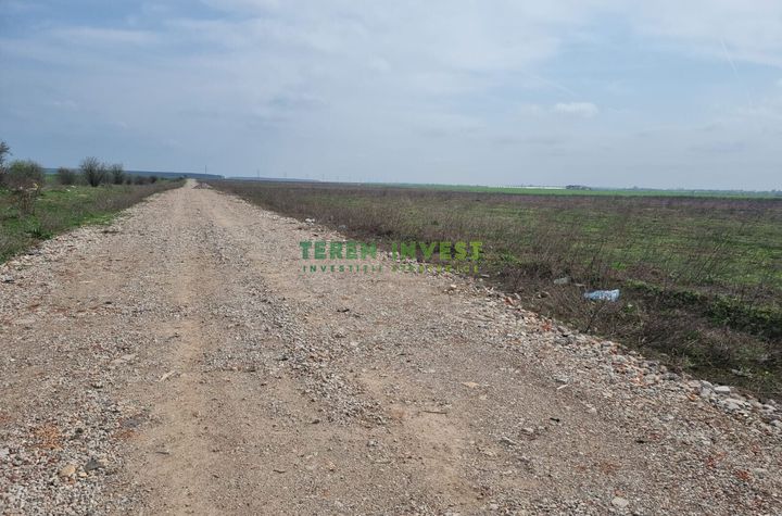 TEREN INDUSTRIAL 20.000 MP - CERNICA - A2 PUZ APROBAT anunturi imobiliare Bucuresti