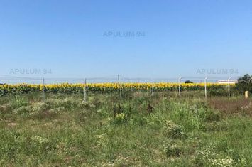 Teren Extravilan de vanzare DOMNESTI - Bucuresti anunturi imobiliare Bucuresti