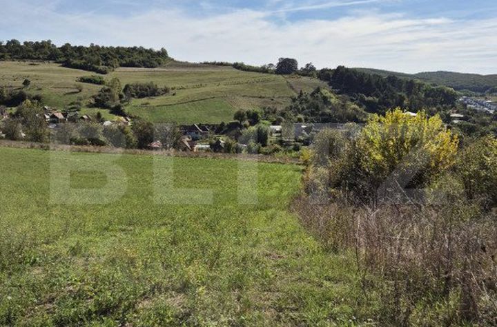 Teren de vanzare LIVEZENI - Mures anunturi imobiliare Mures