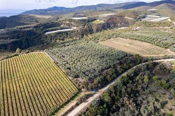 Teren 11.188 mp în Paralia Folias, la 1 km de mare anunturi imobiliare Grecia