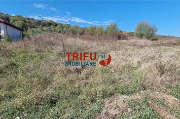 Teren Extravilan de vanzare CENTRAL - Alba anunturi imobiliare Alba