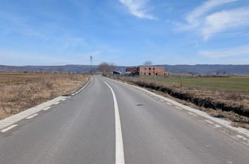 Vilă - 8 camere de vanzare BACAU - Bacau anunturi imobiliare Bacau