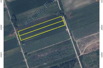 Teren agricol 9.588 mp în Chrisochori, pachet 2 loturi anunturi imobiliare Grecia