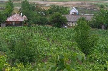 Casă - 3 camere de vanzare DUMESTI - Iasi anunturi imobiliare Iasi