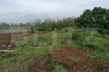Teren de vanzare CETATE - Alba anunturi imobiliare Alba