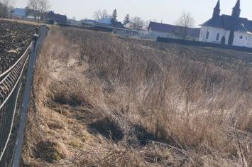 Teren de vanzare FRATAUTII VECHI - Suceava anunturi imobiliare Suceava