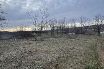 Teren Intravilan de vanzare PALEU  - Bihor anunturi imobiliare Bihor