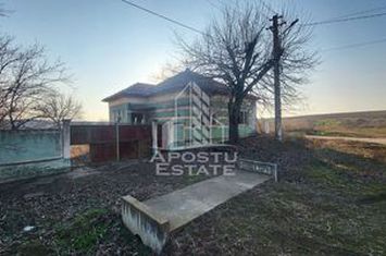 Teren de  3844 mp cu proiect autorizat pt casa individuala,in Pischia anunturi imobiliare Timis