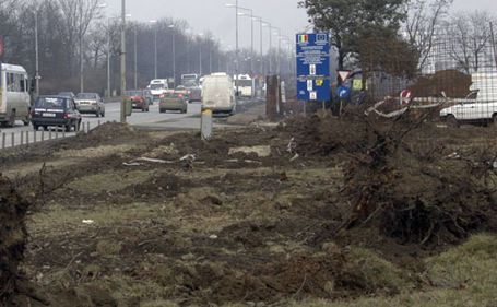 Terenurile din jurul Capitalei nu se mai vand, indiferent de reducerile de pret