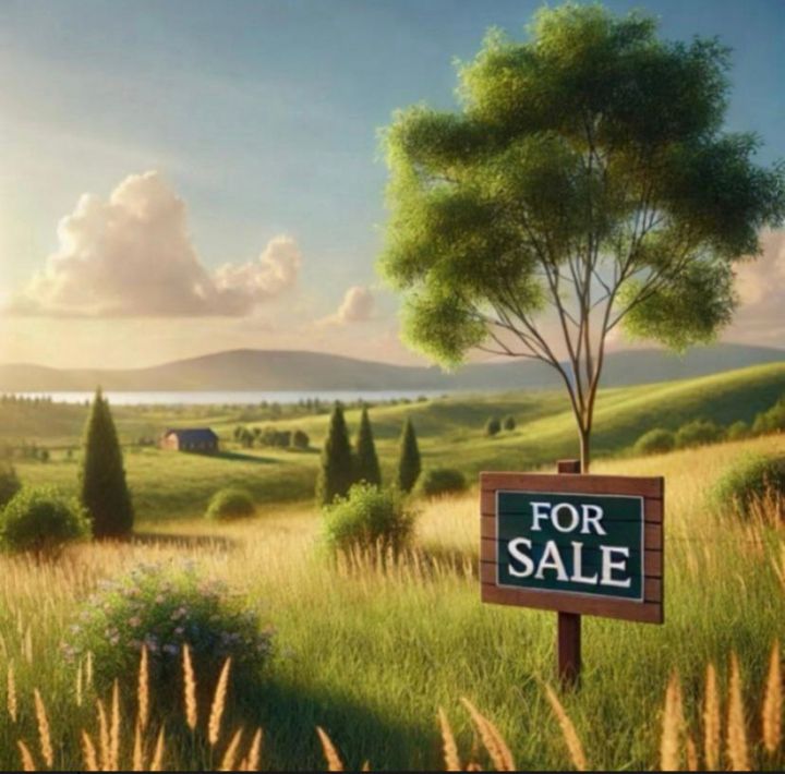Teren de vanzare BRASOV - Brasov anunturi imobiliare Brasov