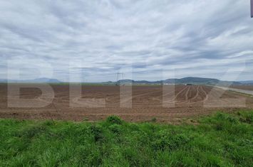 Teren de vanzare HARMAN - Brasov anunturi imobiliare Brasov