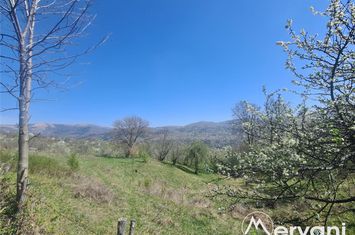 Casă - 5 camere de vanzare COMARNIC - Prahova anunturi imobiliare Prahova