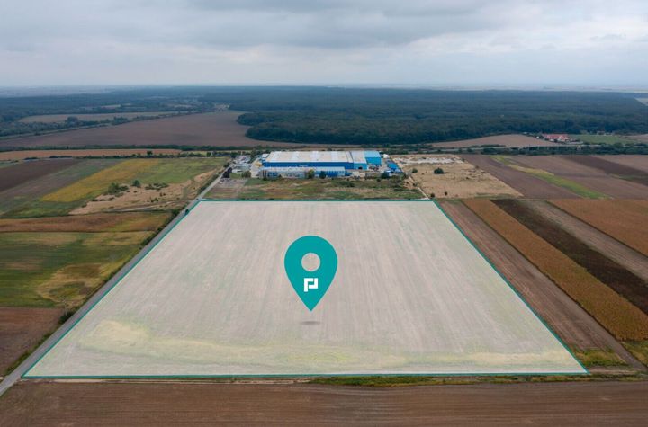 Teren extravilan 5 hectare ( zonă industrială ) Șag anunturi imobiliare Timis