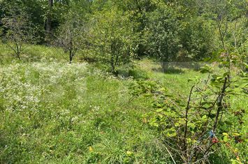 Casă - 4 camere de vanzare TARGU MURES - Mures anunturi imobiliare Mures