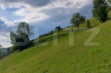 Teren de vanzare PONOREL - Alba anunturi imobiliare Alba