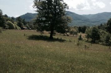 Teren Intravilan 720 mp. Bistra Muresului anunturi imobiliare Mures