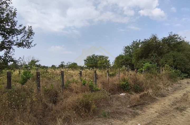Teren intravilan investitie viitoare, str Echinoctiului, Oras Popesti Leordeni anunturi imobiliare Bucuresti