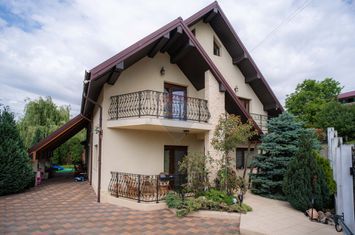 0% Comision - VILA de LUX de vânzare – Cu iaz natural anunturi imobiliare Iasi