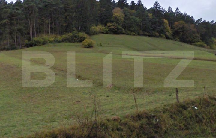 Teren de vanzare CODLEA - Brasov anunturi imobiliare Brasov