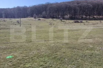 Teren de vanzare CODLEA - Brasov anunturi imobiliare Brasov