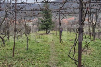 Casă - 5 camere de vanzare CUGIR - Alba anunturi imobiliare Alba