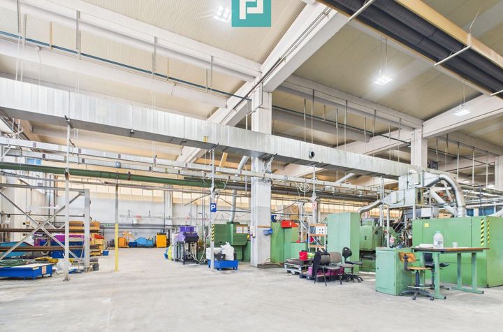 Hală industrială modernă, Șagului anunturi imobiliare Timis