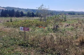 Teren Intravilan de vanzare CIUGUD - Alba anunturi imobiliare Alba