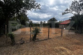 Teren de vanzare TARGU-JIU - Gorj anunturi imobiliare Gorj