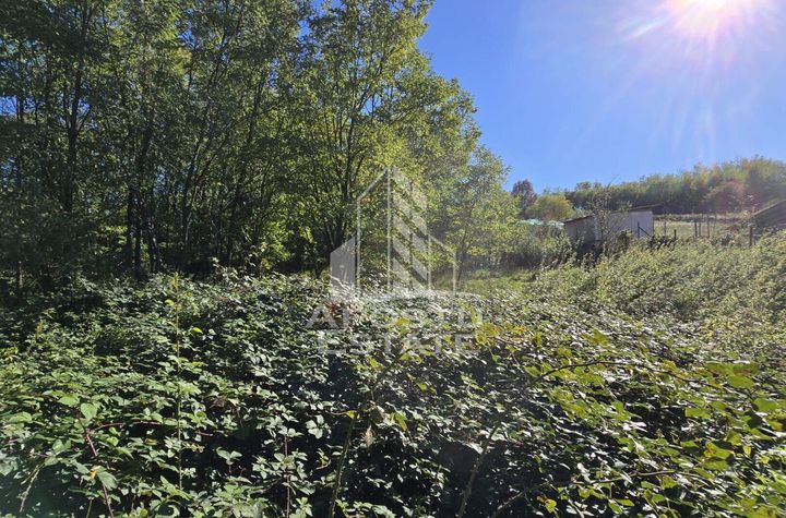 Teren Intravilan Cuied 3260 mp anunturi imobiliare Arad