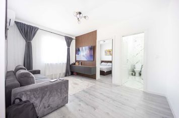 Apartament 2 camere de vanzare LUNCA CETATUII - Iasi anunturi imobiliare Iasi