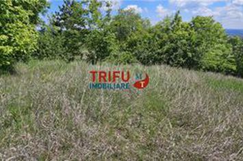 Teren Intravilan de vanzare CENTRAL - Alba anunturi imobiliare Alba