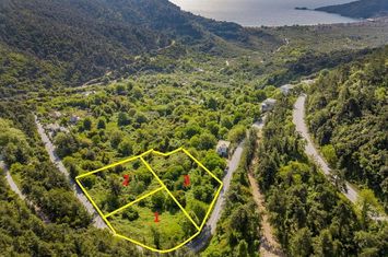 Teren construibil 2.177 mp în Panagia, Thassos anunturi imobiliare Grecia