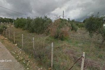 Teren construibil 6960 mp în Potos, Thassos anunturi imobiliare Grecia