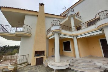 Casă individuală 296 mp în Chrysopigi, Serres anunturi imobiliare Grecia