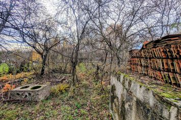 Teren de vanzare PODGORIA - Bihor anunturi imobiliare Bihor