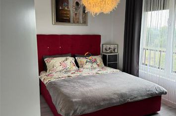 Apartament 2 camere de vanzare DUMBRAVITA - Timis anunturi imobiliare Timis